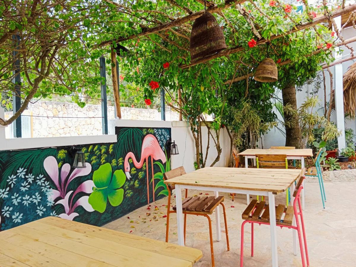 Tribe Inn Jungle & Flamingo Bayahíbe Eksteriør billede